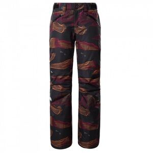 The North Face Women’s Aboutaday Snow Pants